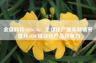 金盘科技(688676)：全球化产能布局铺开 提升AIDC模块化产品竞争力