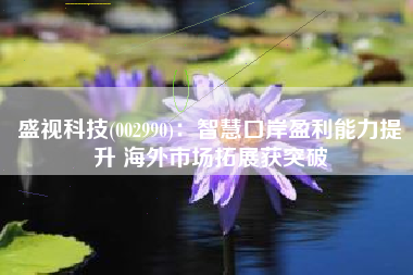 盛视科技(002990)：智慧口岸盈利能力提升 海外市场拓展获突破