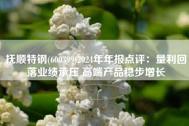 抚顺特钢(600399)2024年年报点评：量利回落业绩承压 高端产品稳步增长