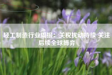 轻工制造行业周报：关税扰动持续 关注后续全球博弈