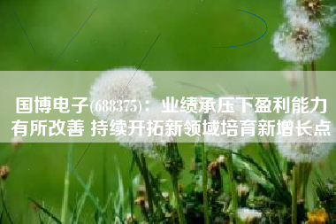 国博电子(688375)：业绩承压下盈利能力有所改善 持续开拓新领域培育新增长点