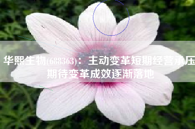 华熙生物(688363)：主动变革短期经营承压 期待变革成效逐渐落地