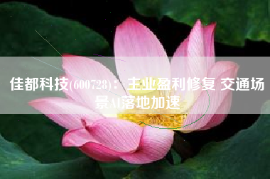 佳都科技(600728)：主业盈利修复 交通场景AI落地加速