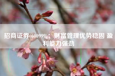 招商证券(600999)：财富管理优势稳固 盈利能力强劲
