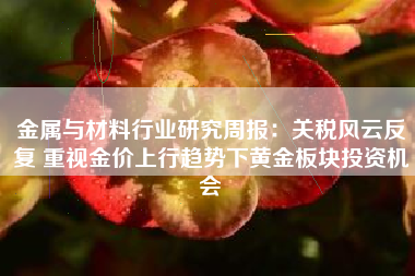 金属与材料行业研究周报：关税风云反复 重视金价上行趋势下黄金板块投资机会