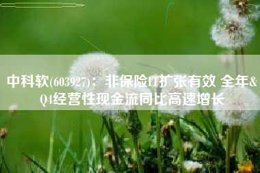 中科软(603927)：非保险IT扩张有效 全年&Q4经营性现金流同比高速增长