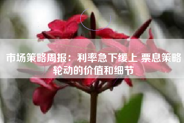 市场策略周报：利率急下缓上 票息策略轮动的价值和细节