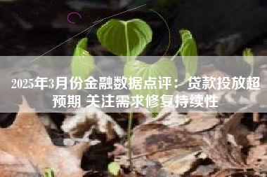 2025年3月份金融数据点评：贷款投放超预期 关注需求修复持续性
