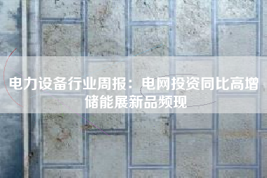 电力设备行业周报：电网投资同比高增 储能展新品频现