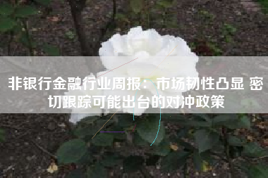 非银行金融行业周报:市场韧性凸显 密切跟踪可能出台的对冲政策 非银行金融行业周报:市场韧性凸显 密切跟踪可能出台的对冲政策