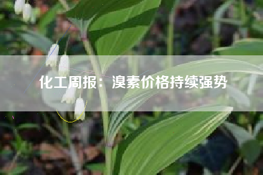 化工周报：溴素价格持续强势