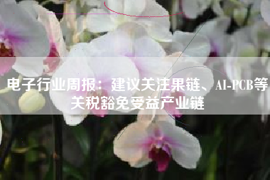 电子行业周报：建议关注果链、AI-PCB等关税豁免受益产业链