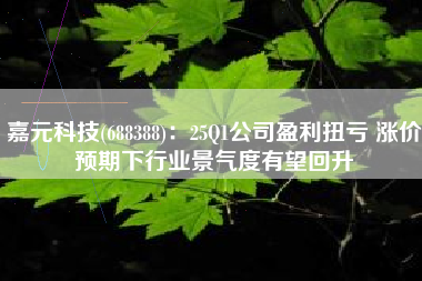 嘉元科技(688388)：25Q1公司盈利扭亏 涨价预期下行业景气度有望回升