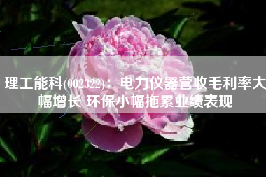理工能科(002322)：电力仪器营收毛利率大幅增长 环保小幅拖累业绩表现