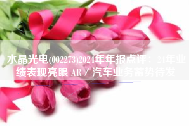 水晶光电(002273)2024年年报点评：24年业绩表现亮眼 AR／汽车业务蓄势待发