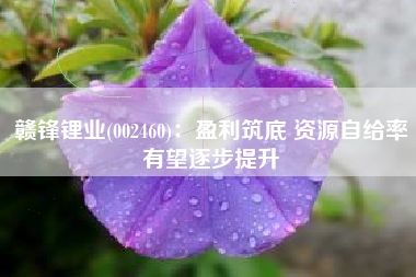赣锋锂业(002460)：盈利筑底 资源自给率有望逐步提升