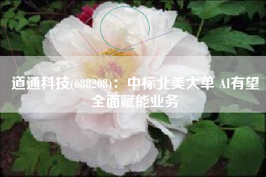 道通科技(688208)：中标北美大单 AI有望全面赋能业务