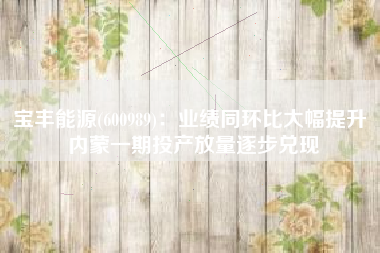 宝丰能源(600989)：业绩同环比大幅提升 内蒙一期投产放量逐步兑现