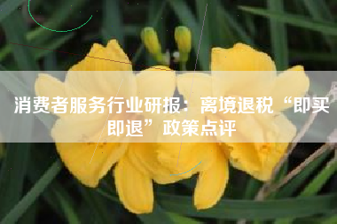 消费者服务行业研报：离境退税“即买即退”政策点评