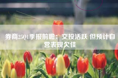 券商25Q1季报前瞻：交投活跃 但预计自营表现欠佳