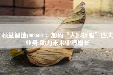 领益智造(002600)：加码“人眼折服”四大业务 助力未来业绩增长