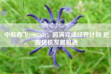 中航西飞(000768)：圆满完成经营计划 把握民机发展机遇