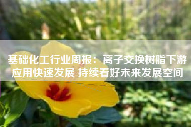 基础化工行业周报：离子交换树脂下游应用快速发展 持续看好未来发展空间