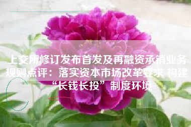 上交所修订发布首发及再融资承销业务规则点评：落实资本市场改革要求 构建“长钱长投”制度环境