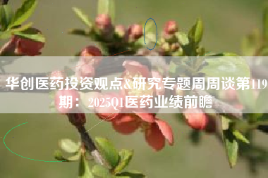 华创医药投资观点&研究专题周周谈第119期：2025Q1医药业绩前瞻