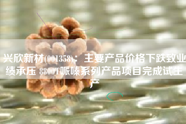 兴欣新材(001358)：主要产品价格下跌致业绩承压 8800T哌嗪系列产品项目完成试生产