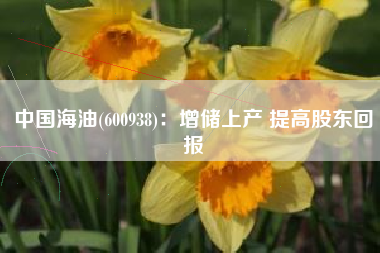 中国海油(600938)：增储上产 提高股东回报