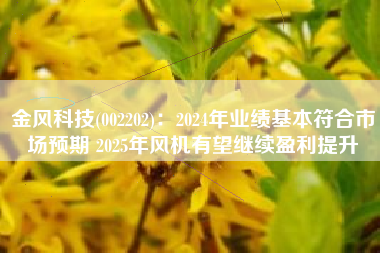 金风科技(002202)：2024年业绩基本符合市场预期 2025年风机有望继续盈利提升