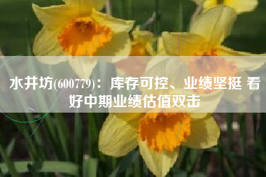 水井坊(600779)：库存可控、业绩坚挺 看好中期业绩估值双击