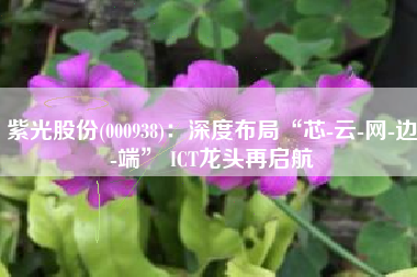 紫光股份(000938)：深度布局“芯-云-网-边-端” ICT龙头再启航