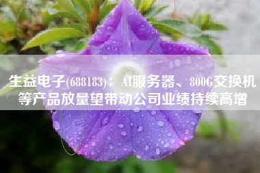 生益电子(688183)：AI服务器、800G交换机等产品放量望带动公司业绩持续高增