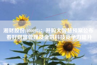 湘财股份(600095)：并购大智慧预案公布 看好财富管理及金融科技竞争力提升