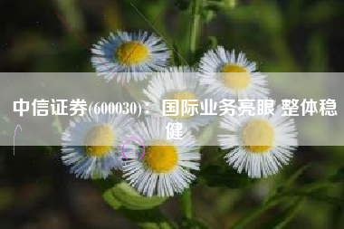 中信证券(600030)：国际业务亮眼 整体稳健