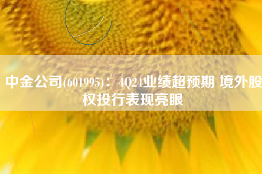 中金公司(601995)：4Q24业绩超预期 境外股权投行表现亮眼