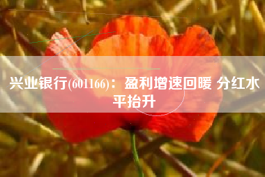 兴业银行(601166)：盈利增速回暖 分红水平抬升