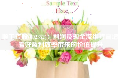 顺丰控股(002352)：利润及现金流维持高增 看好盈利效率带来的价值提升