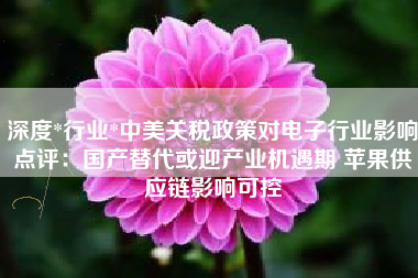 深度*行业*中美关税政策对电子行业影响点评：国产替代或迎产业机遇期 苹果供应链影响可控