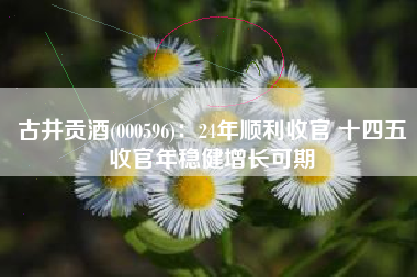 古井贡酒(000596)：24年顺利收官 十四五收官年稳健增长可期