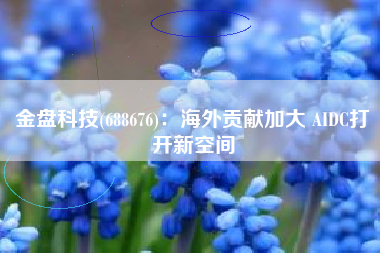 金盘科技(688676)：海外贡献加大 AIDC打开新空间