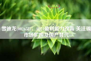 雪迪龙(002658)：4Q24盈利能力改善 关注碳市场扩围及国产替代