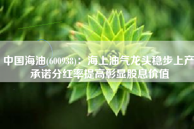 中国海油(600938)：海上油气龙头稳步上产 承诺分红率提高彰显股息价值