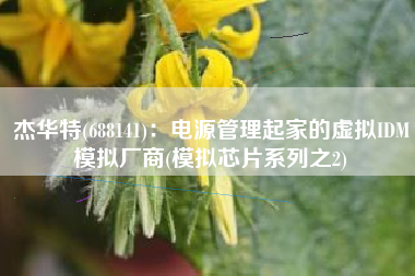 杰华特(688141)：电源管理起家的虚拟IDM模拟厂商(模拟芯片系列之2)