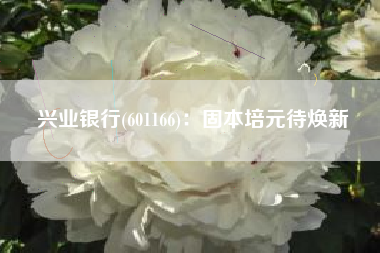 兴业银行(601166)：固本培元待焕新