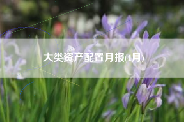大类资产配置月报(4月)