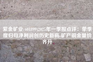 紫金矿业(601899)2025年一季报点评：单季度归母净利润创历史新高 矿产铜金量价齐升