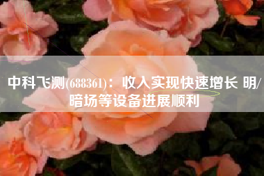 中科飞测(688361)：收入实现快速增长 明/暗场等设备进展顺利